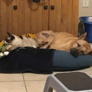 Meet your Posher, Tracey